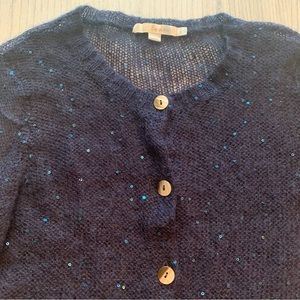 Boden Sparkly Sweater